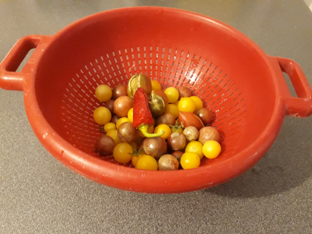 Saladier rouge contenant des petites tomates rouges et jaunes, ainsi qu'un piment de bresse