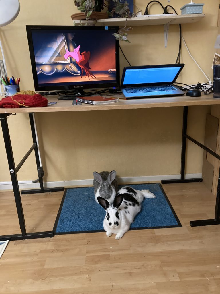 Photo d'un bureau sur lequel un écran d'ordinateur montre Sébastien, le crabe de la petite sirène, en train de mimer un baiser.
Sous le bureau, deux lapins regardent la caméra.