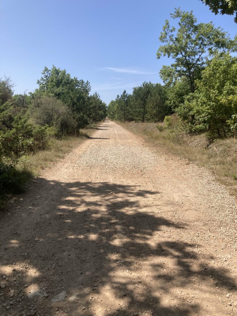 Photo d'un chemin forestier en ligne droite. C'est long.