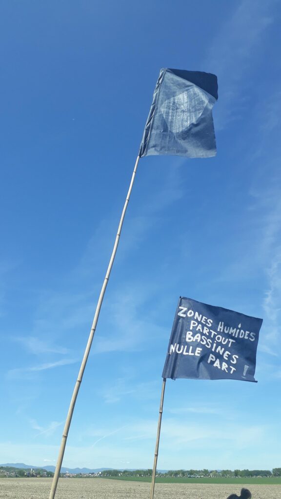 Photo de deux drapeaux bleus dans un ciel bleu.
Sur le deuxième est écrit : "Zones humides partout, Bassine nulle part"