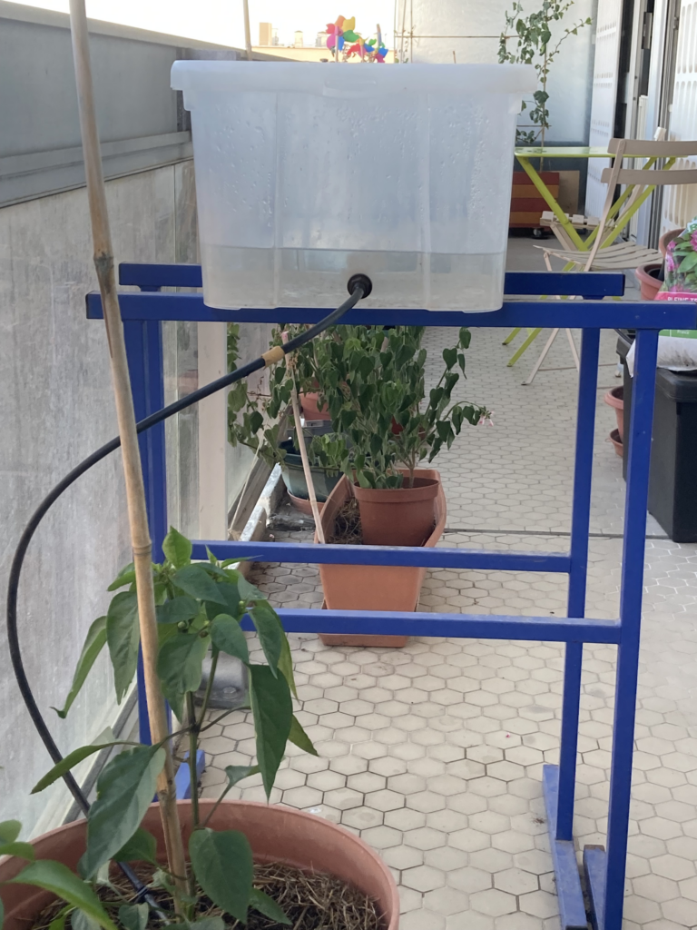 Photo d'un contenant d'eau posé sur deux tréteaux. Un tuyaux sirt de ce contenant direction un pot qui se trouve en premier plan caché.